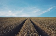 TechAccel advances on two agriculture deals