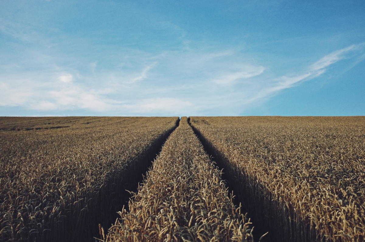 TechAccel advances on two agriculture deals