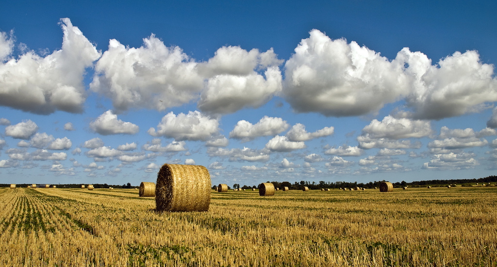 Document: FarmLink raises additional $24.6M for ag tech