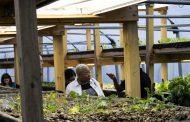 Nile Valley Aquaponics grand opening brings sustainability, hope to community