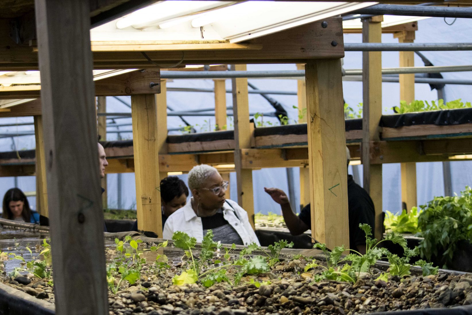 Nile Valley Aquaponics grand opening brings sustainability, hope to community