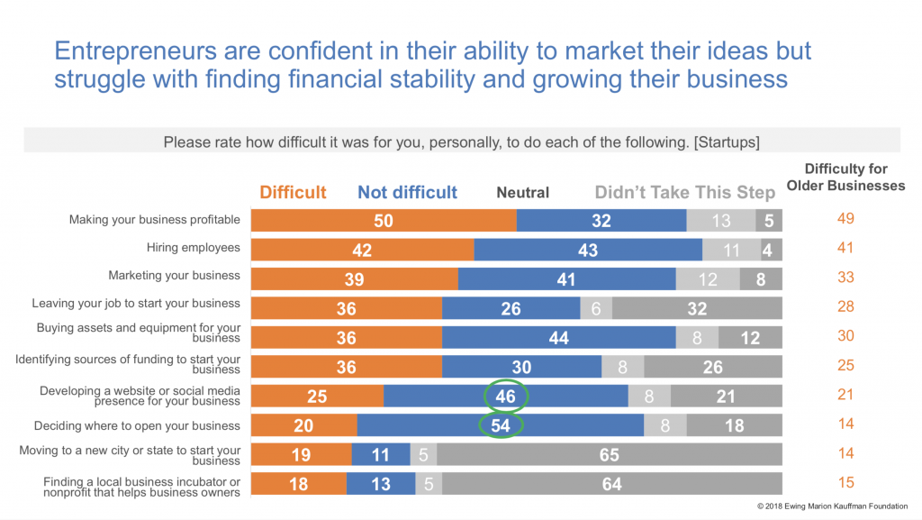 startups Kauffman survey