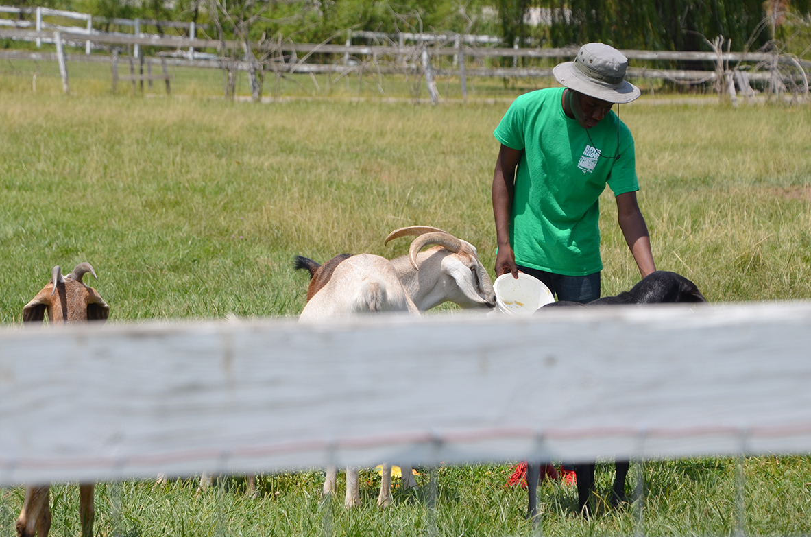 Manual entrepreneurship, refuge: ‘Farming is just the vehicle,’ says BoysGrow founder