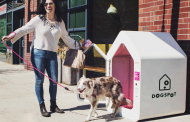 KCMO provides welcoming spot for NY-based high-tech kennel startup, DogSpot