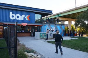 Bar K Dog Bar