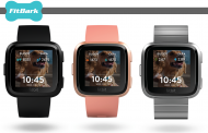 Best-in-show FitBark pet tech now groomed for 2019 launch on FitBit