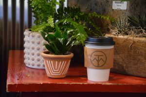 Cafe Equinox, Family Tree Nursery