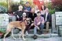 2020 Startups to Watch: ELIAS Animal Health wags past milestones in cancer treatment for dogs