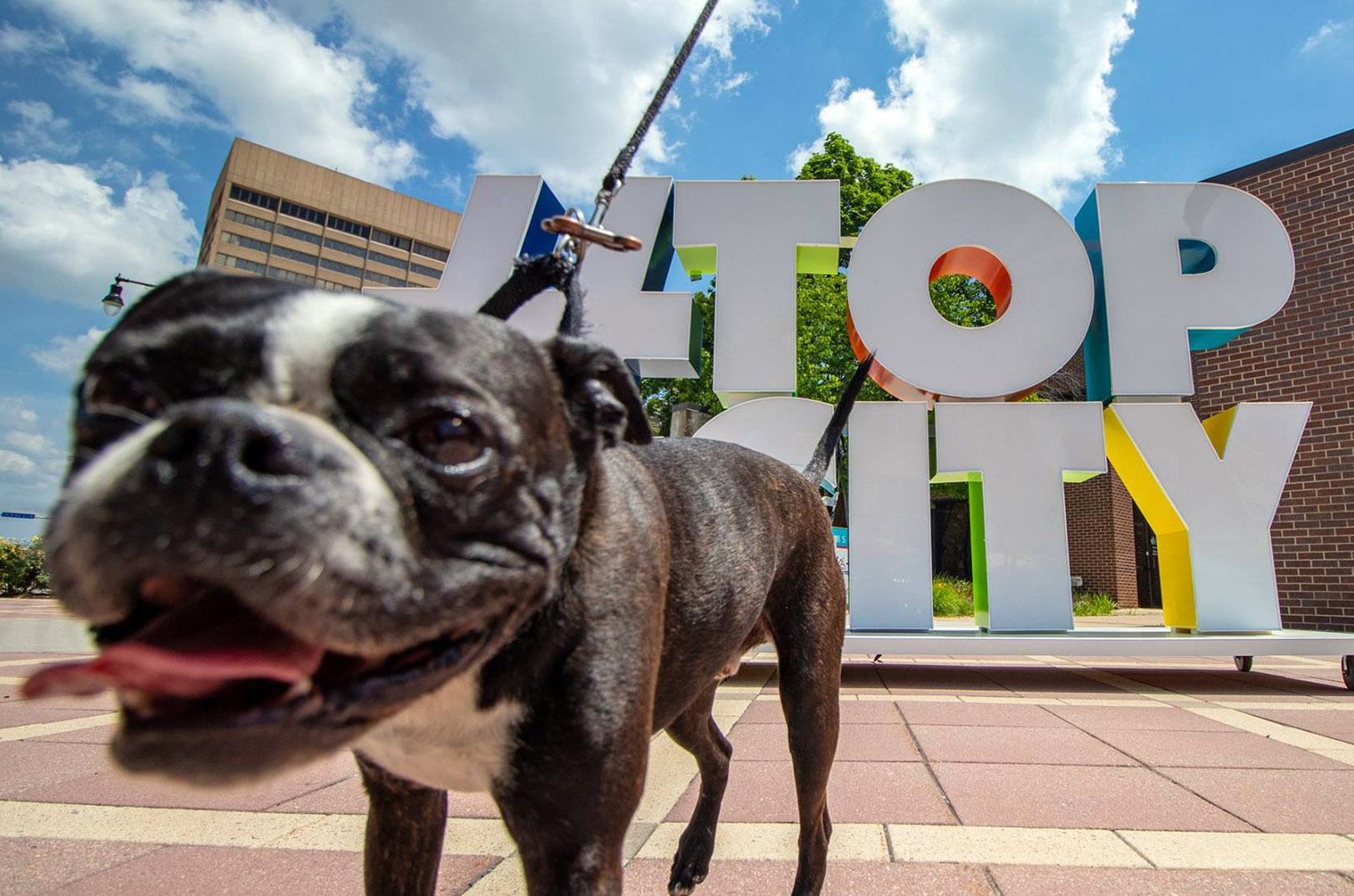 Plug and Play innovation summit unleashing Topeka’s animal health, agtech potential