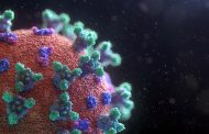 Biotech firm seeks to advance novel exosome isolation-based therapy for COVID-19 into clinical trials