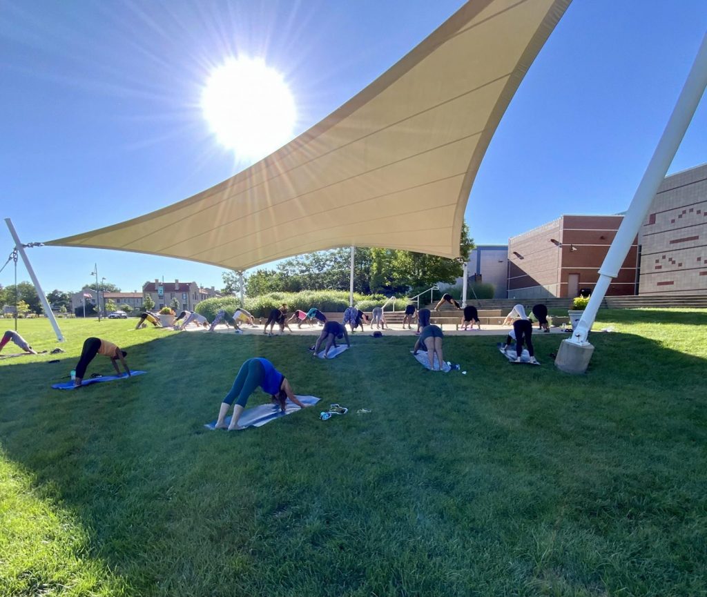 Yoga on the Vine