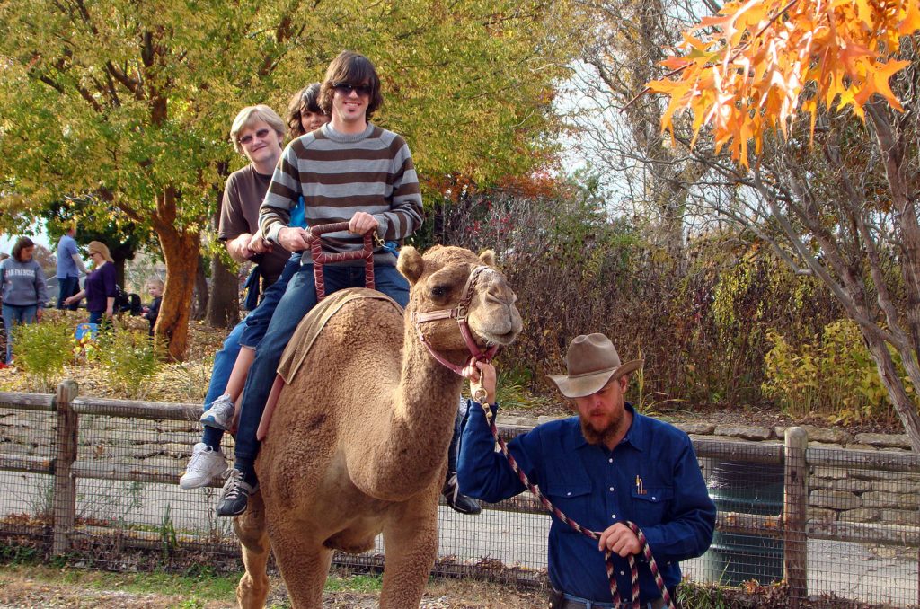 Camel ride at the Kansas City Zoo, Rod Malchow, R&P Camel Co., 2009