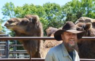 Far from fenced-in city life: Rural Missouri camel rancher takes a trail less ridden