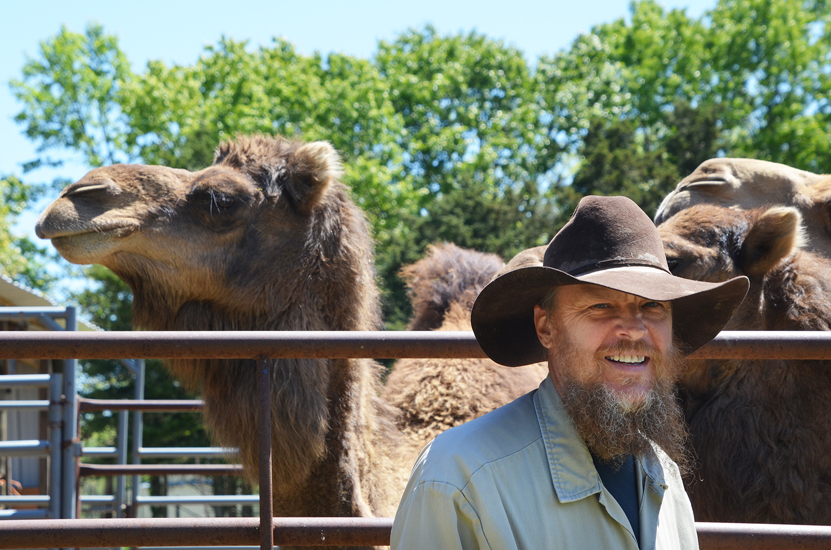 Far from fenced-in city life: Rural Missouri camel rancher takes a trail less ridden