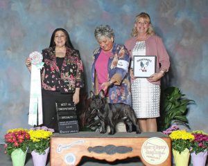 Debbie Coon, center, and Sara Pelis with Santino