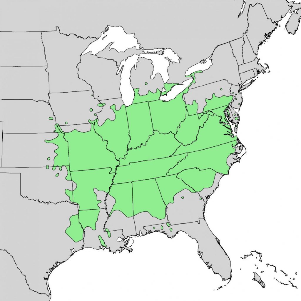 Pawpaws natural distribution in North America; map courtesy of the U.S. Department of Agriculture, Forest Service, USGS Geosciences and Environmental Change Science Center