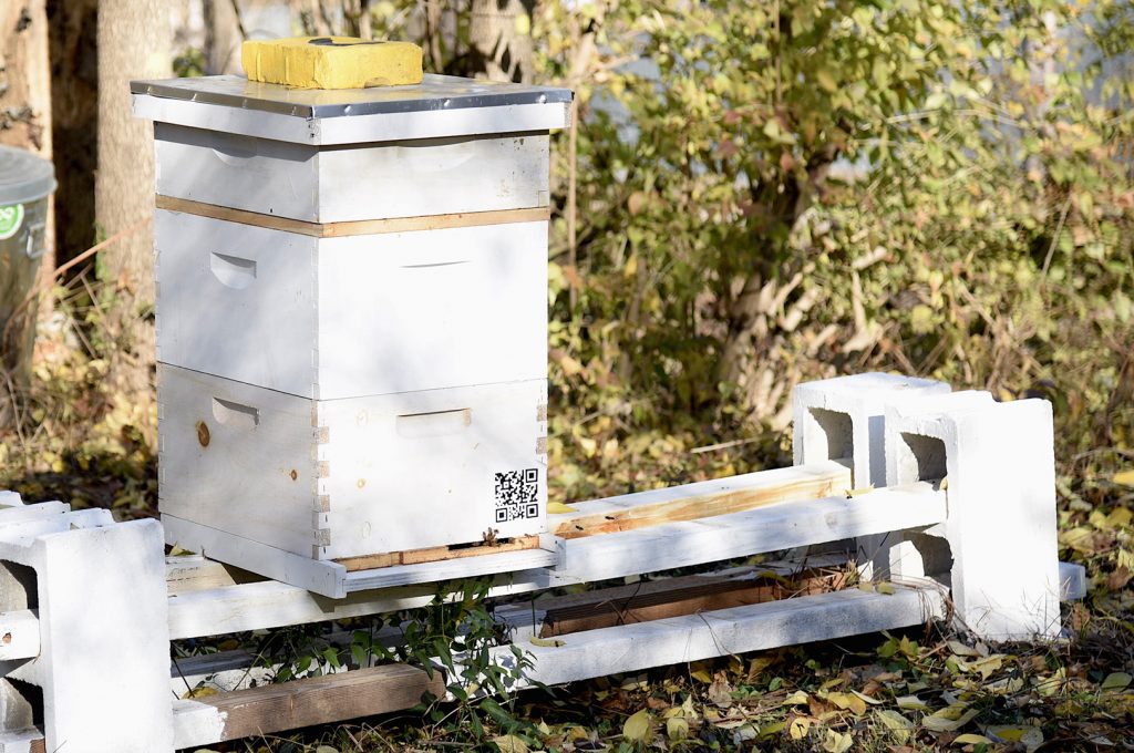 Four hives are currently active at the apiary, but they would like to increase hives in the future. Another addition they hope to create soon: a medicinal wall.
