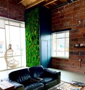 The Fat Plant Society installation at The Laya Center in Kansas City's Crossroads Arts District