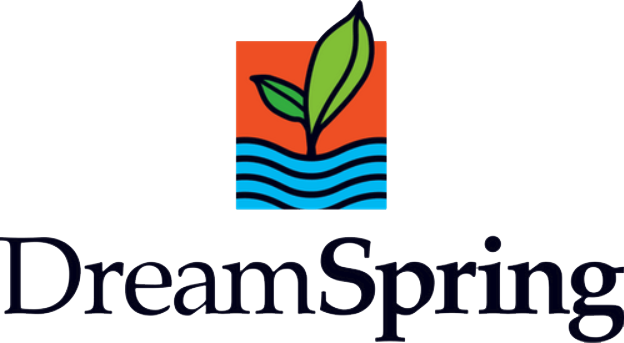 DreamSpring logo