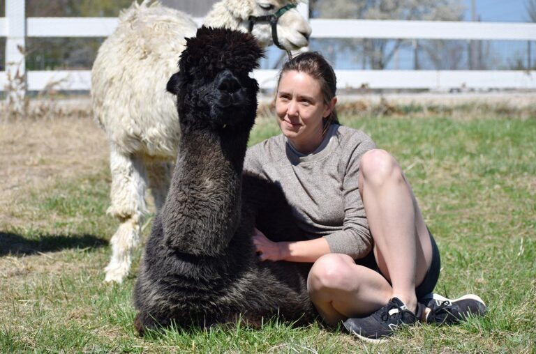 Blue Springs farm, retail space invites city diners to the orchard for