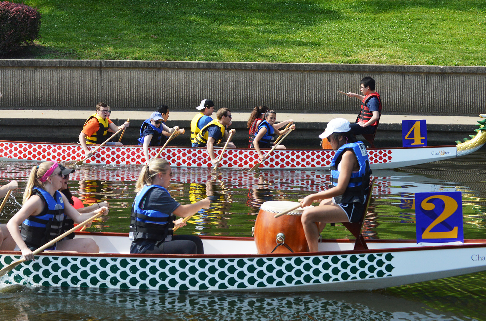 Is there a doctor on board? Dragon boat race puts KC professionals in the rower’s seat