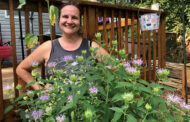 This Kansas gardener sued to sell fruit and honey; Now her town will allow urban farming