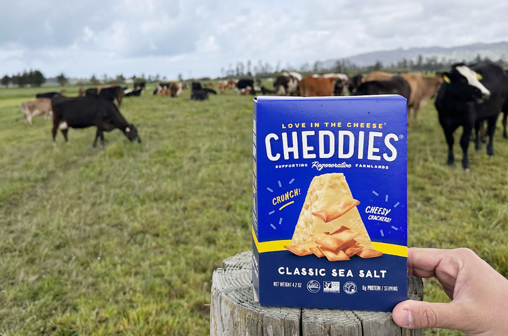 KC-baked snack cracker startup tastes new markets, opportunities fueled by regenerative agriculture