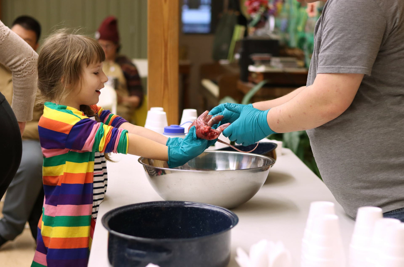 Squirrel dinner: Families turn to bushy-tailed mammals for nutritious, sustainable meat