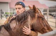 Combating fight or flight: KC nonprofit deploys horses for veterans struggling to get back in the civilian saddle