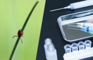 Design-Zyme, KU researchers latch onto $3M SBIR award for Lyme disease vaccine