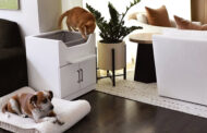 KC inventor rolls elevated litter box to market (and cats already are making the leap)