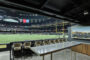 Grateful for this moment (again): Fantrepreneurs back in play as Super Bowl boosts small biz