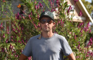 This Dirt Beast works the soil for $2 an hour; why harvesting joy from his urban farm fills the bag