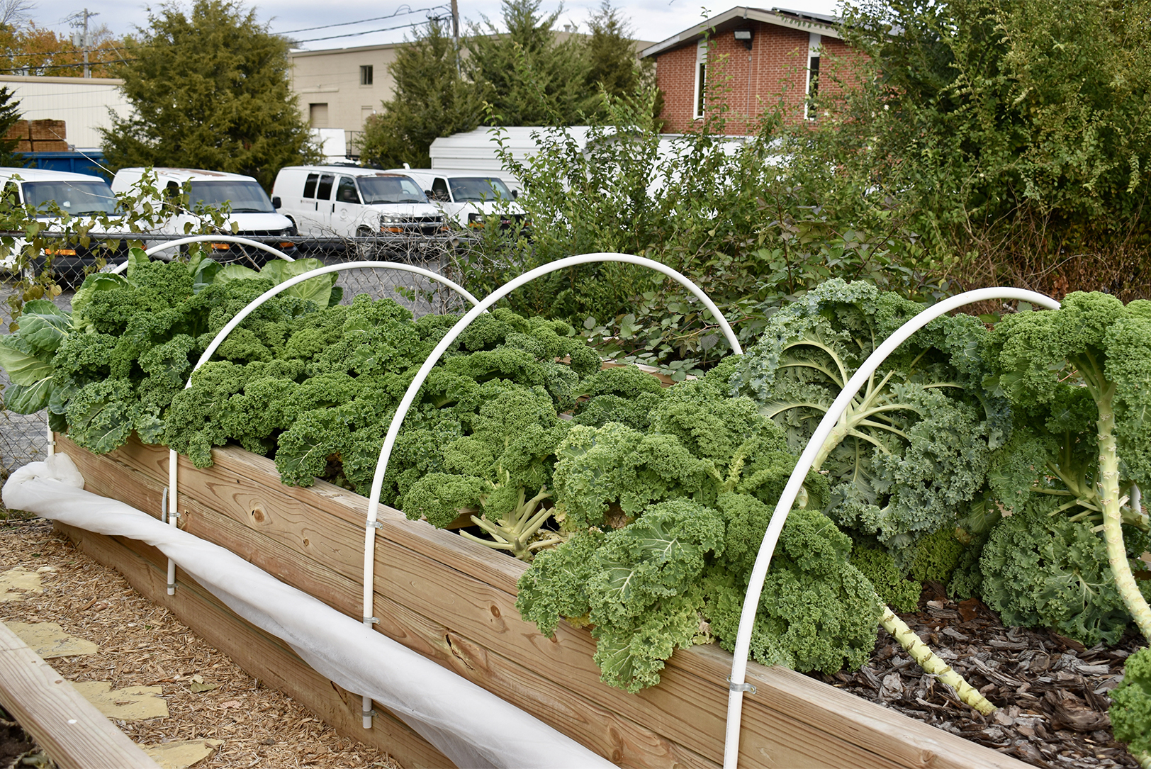 Strips Chicken & Brewing 02