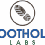 Foothold Labs